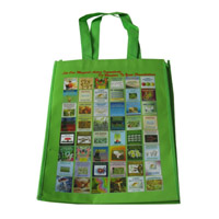 攀枝花LB11覆膜无纺布广告袋